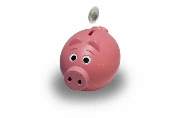 Sparschwein mit Münze